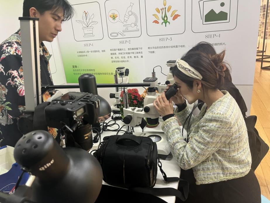 谈球吧手机版