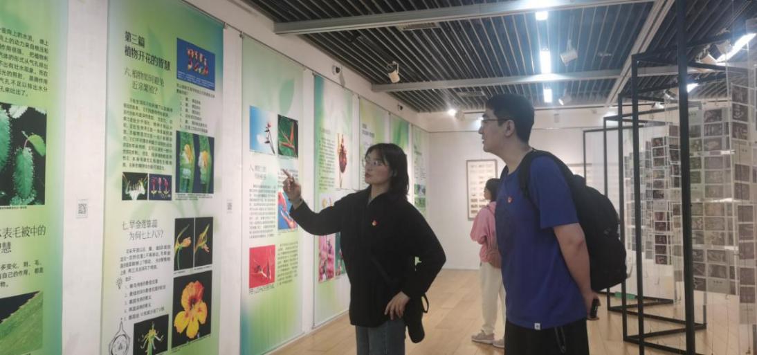 谈球吧欧洲杯